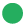 circle icon